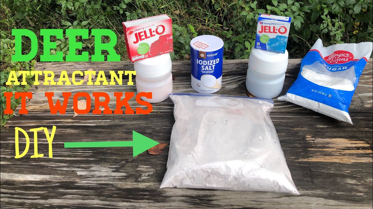 DIY - How to make deer attractant cheap  | corn coat |