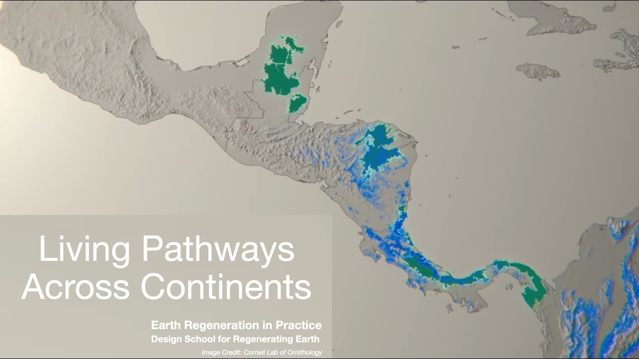 Living Pathways Across Continents