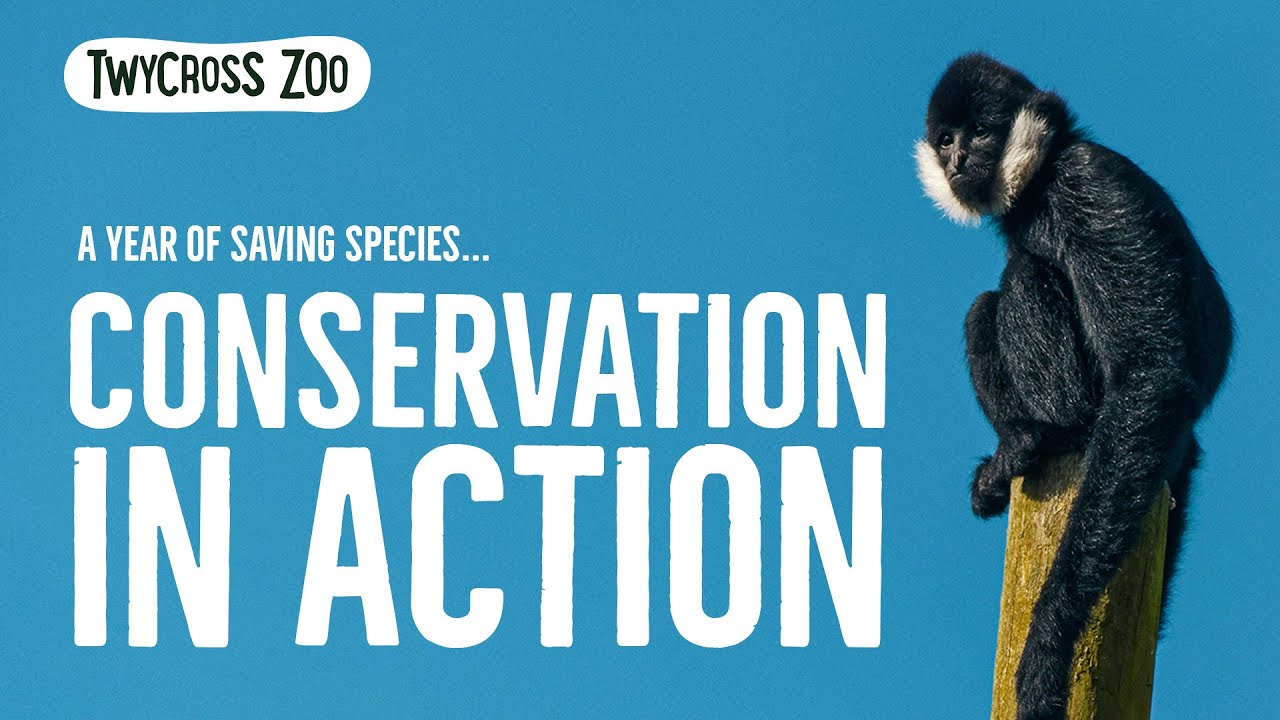 Twycross Zoo presents Conservation In Action