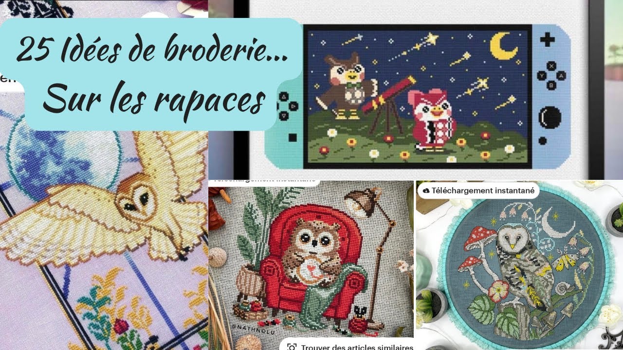 25 idées de broderie... sur les rapaces (partie 1)
