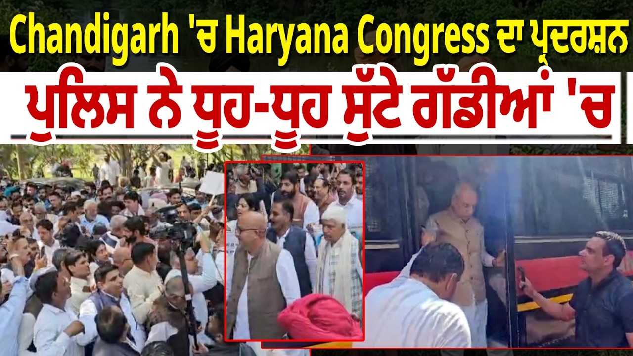 Chandigarh 'ਚ Haryana Congress ਦਾ ਪ੍ਰਦਰਸ਼ਨ  ਪੁਲਿਸ ਨੇ ਧੂਹ-ਧੂਹ ਸੁੱਟੇ ਗੱਡੀਆਂ 'ਚ