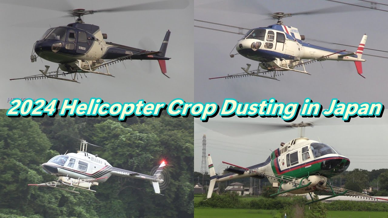 2024 Helicopter Crop Dusting in Japan Part 2/Bell 206B JetRange,AS350B