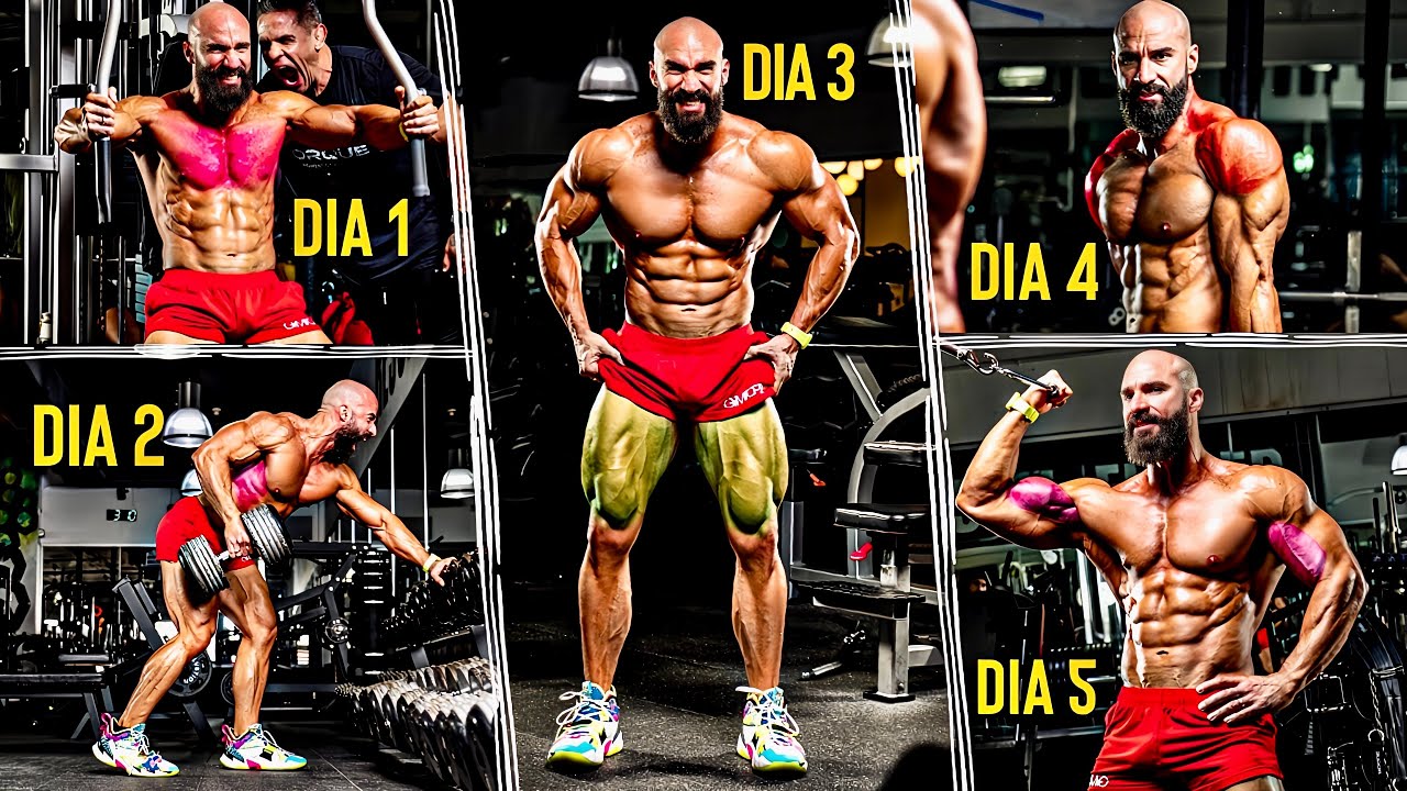 Rutinas de 5 Días: Musculación, Fit, Gym, Fitness y Progreso