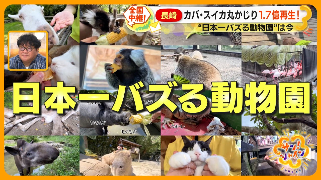 【あのニュース】長崎  ｢日本一バズる動物園｣ は今…飼育員出演でリアルを伝える臨場感が人気【サン！シャインニュース】