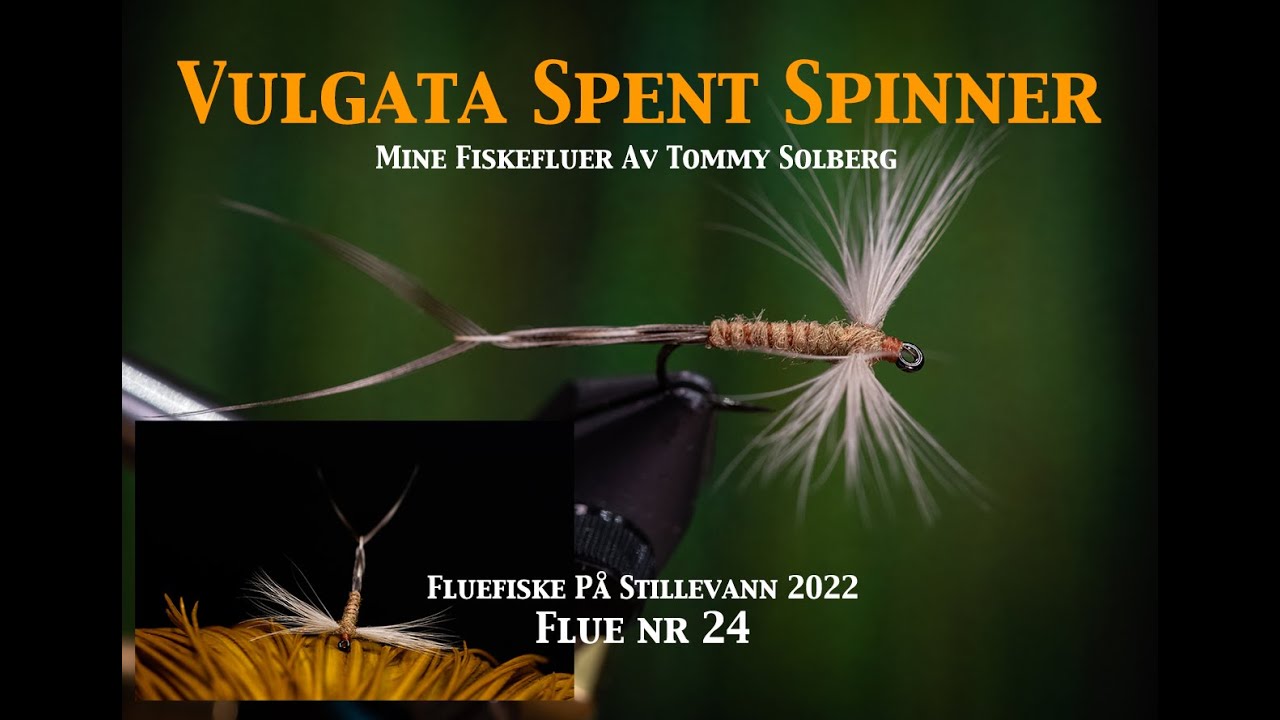 Ephemera Vulgata spent spinner. Mine fiskefluer og Fluefiske på stiullevann 2022