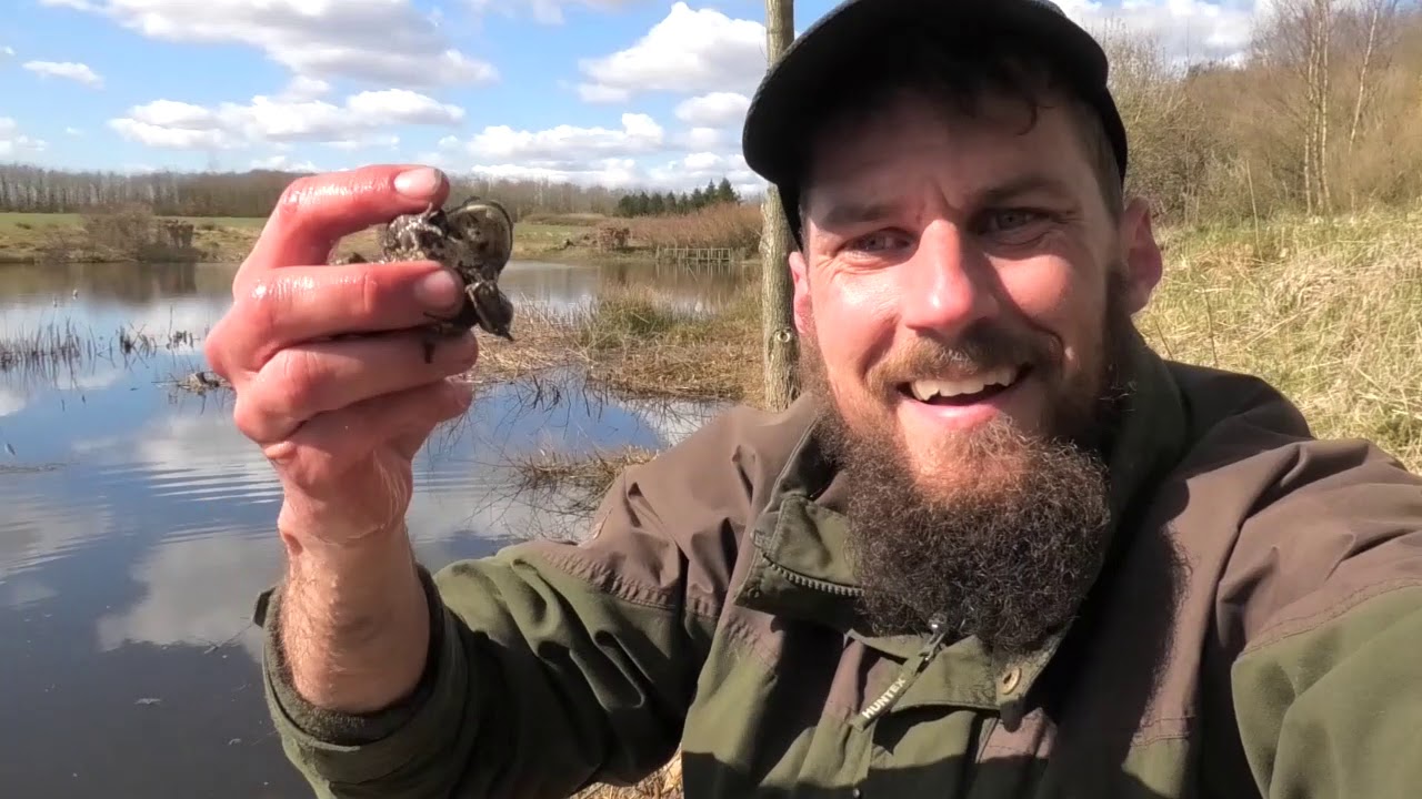 NaturNørd 180. Den giftige tudse!!