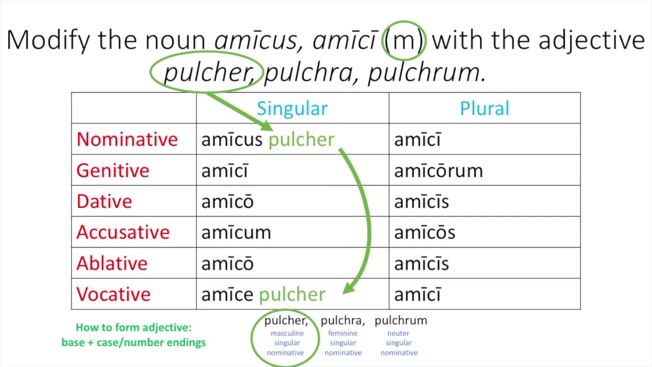 First and Second Declension -er Adjectives