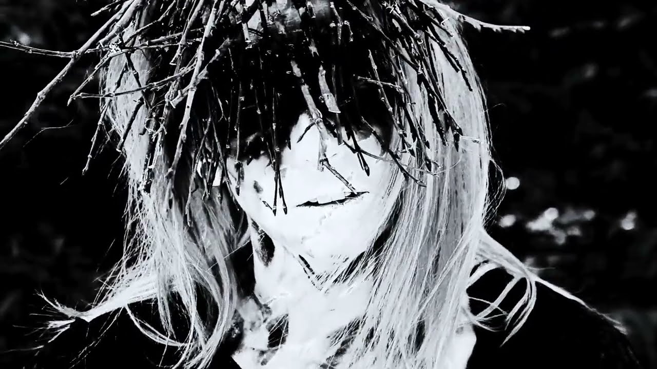 Maridia - Through Thorn and Bone (Official video clip premiere, 2024) | Post-hardcore