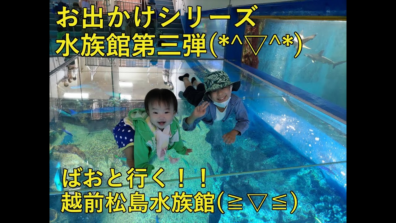 【お出かけ】越前松島水族館に行ってみたっ！!