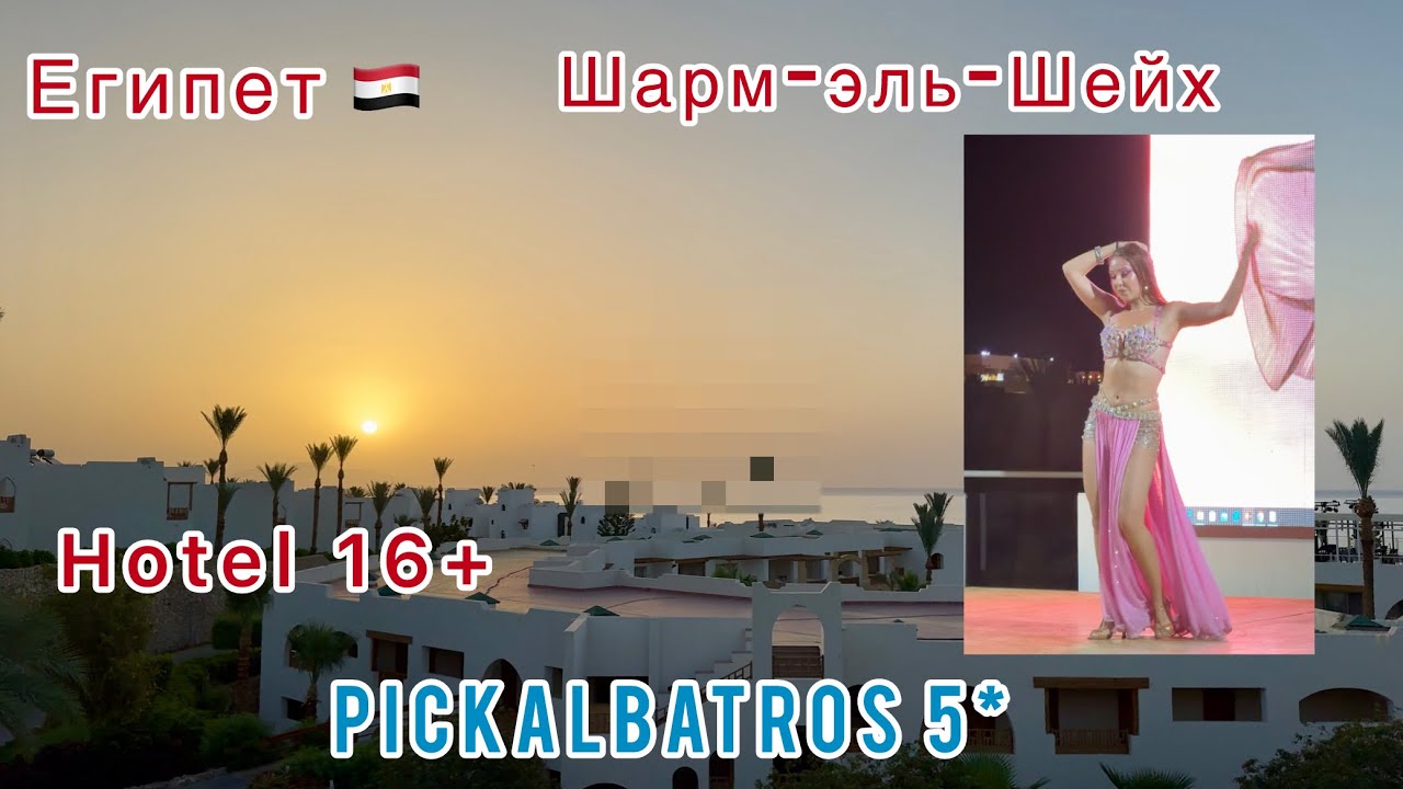 ЕГИПЕТ🇪🇬2024 Hotel PICKALBATROS (ALBATROS) ROYAL GRAND SHARM 5* СМЕНИЛ НАЗВАНИЕ! Номер и Обед 👀