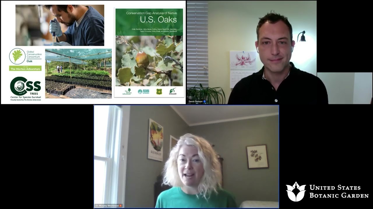 Plant Science Conversations: Keeping Tabs on Trees (Online Discussion)