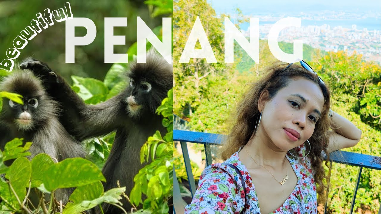 Penang&rsquo;s Best Nature Spots in One Day: Penang Hill & The Habitat