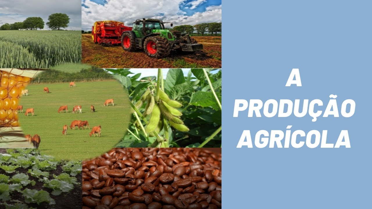 Geografia - Aula 14 6º ano A PRODUÇÃO AGRÍCOLA