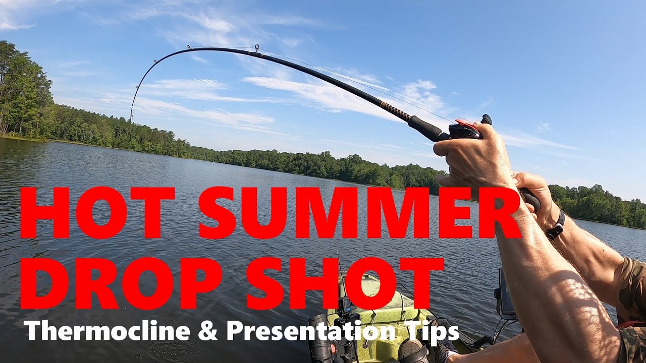 Summer Bass Fishing: Drop Shot When Nothing Works
