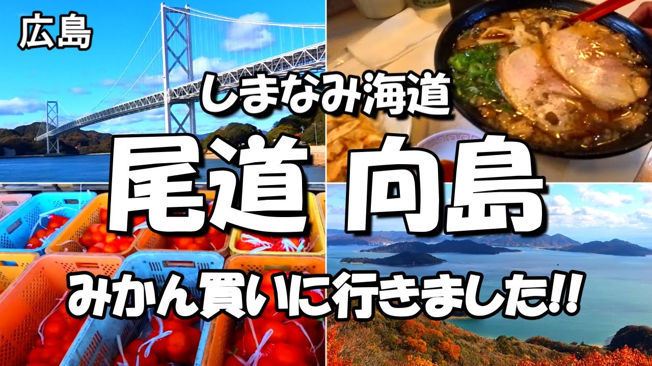 【尾道向島】うまいミカンと島の絶景!!