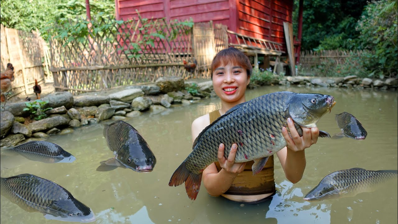Полное видео : Весь процесс строительства, выращивания и сбора урожая через 365 дней - Ана Бушкрафт