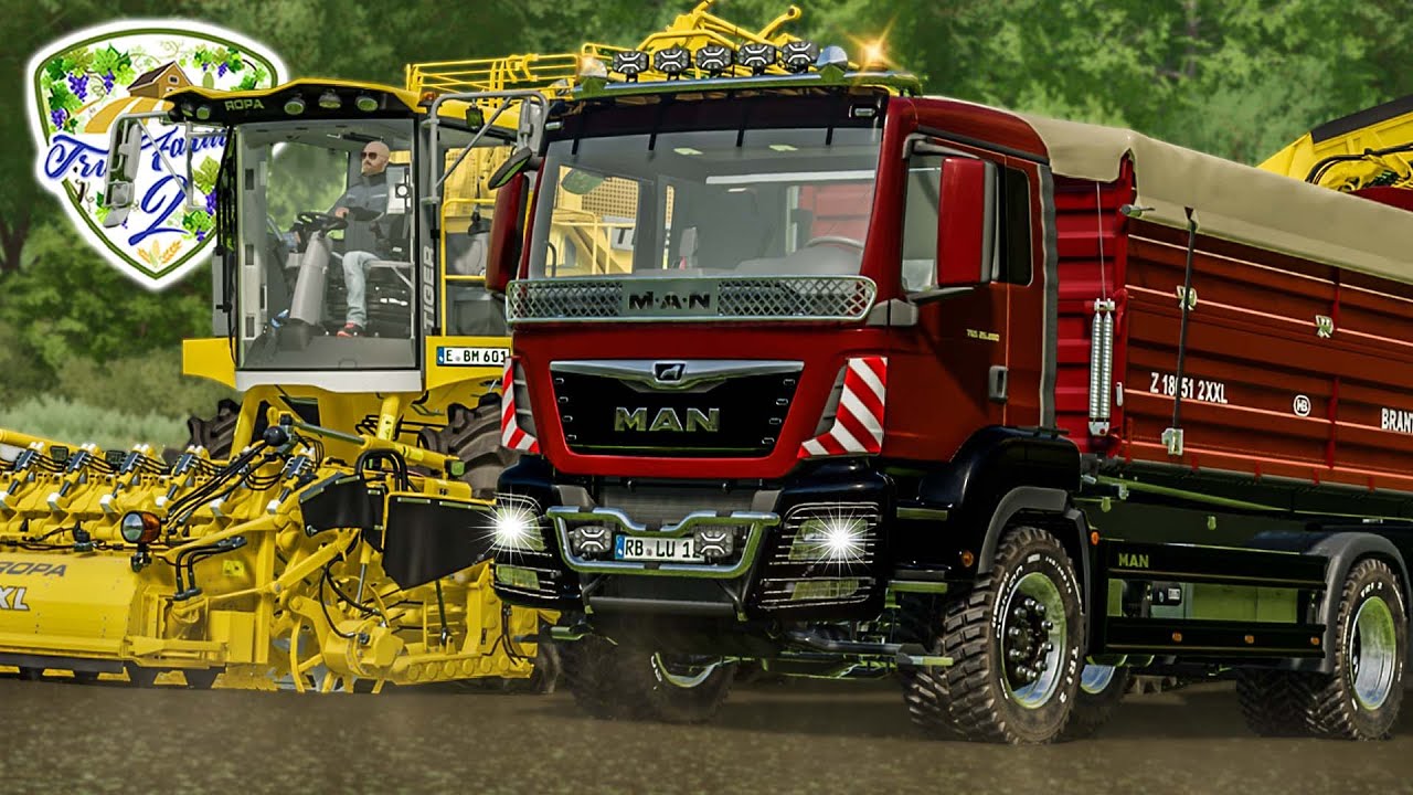 Lohnt sich der VERKAUF der ZUCKERRÜBEN? Was kostet die ERNTE🚜 True Farming 2 #552 | LS22