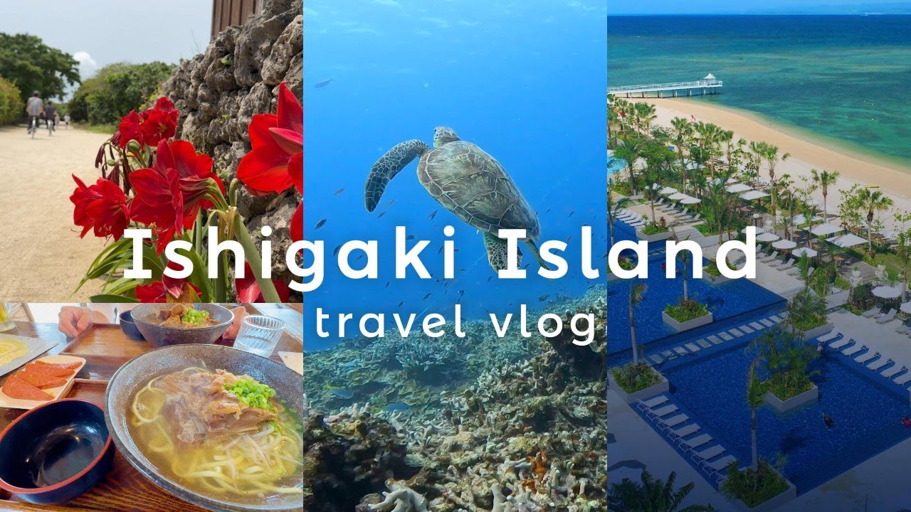 【沖縄・石垣島＆竹富島2泊3日】ウミガメが見れるダイビングスポット｜フサキビーチリゾート宿泊｜ダイビングや離島ツアーを満喫しました！