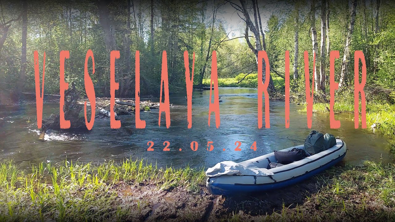 Река веселая ленинградская обл. 22е мая 2024. Veselaya River