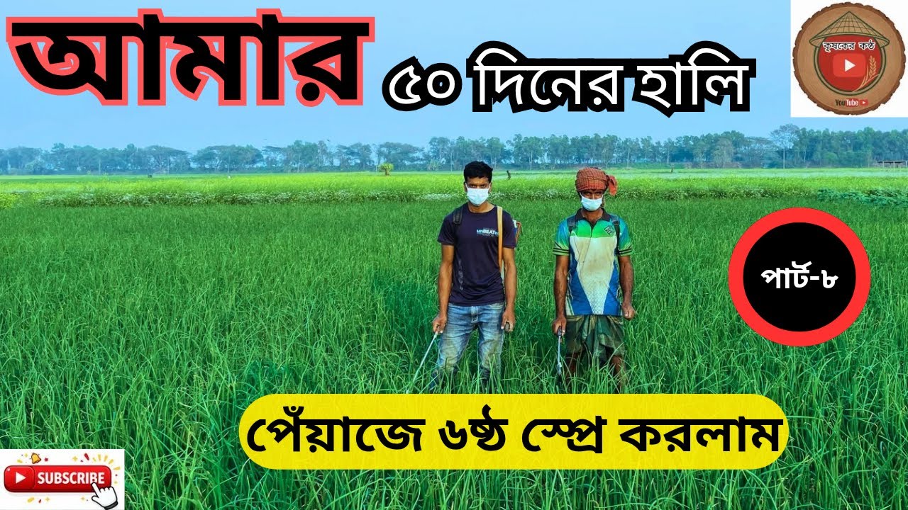 আমার ৫০ দিনের হালি পেয়াজে ৬ষ্ঠ স্প্রে করলাম।