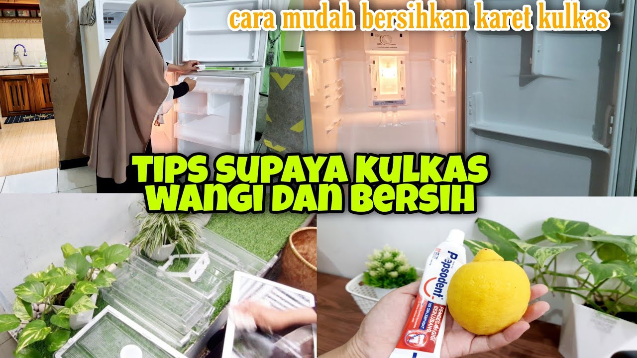 TIPS SUPAYA KULKAS WANGI DAN BERSIH||Cara Ampuh Bersihkan Karet Pintu Kulkas||Zulaikha Pratiwi