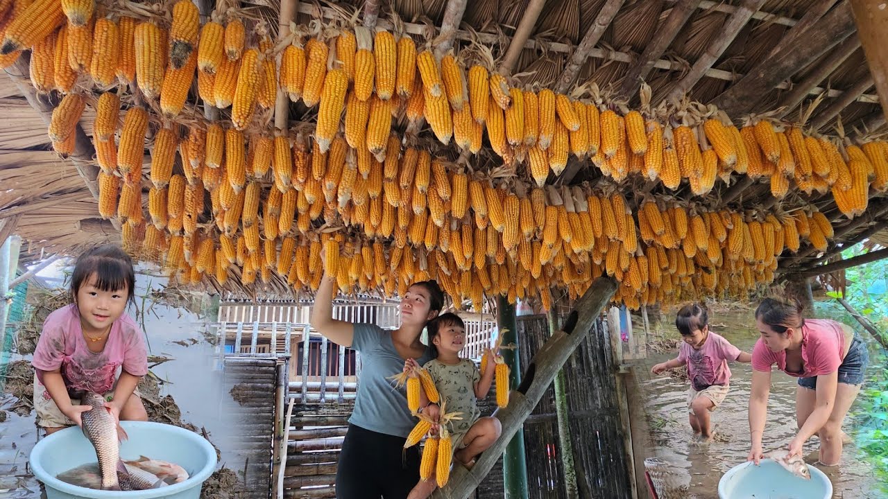 harvest corn for animal feed and go fishing to improve their lives