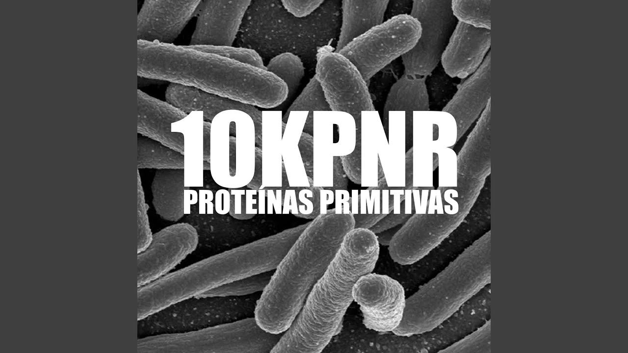Como Me Encontrar