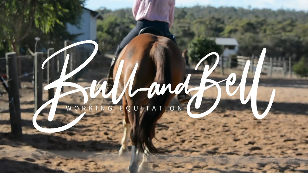 Bull and Bell Working equitation - Rodrigo Matos Clinic Feb 2023