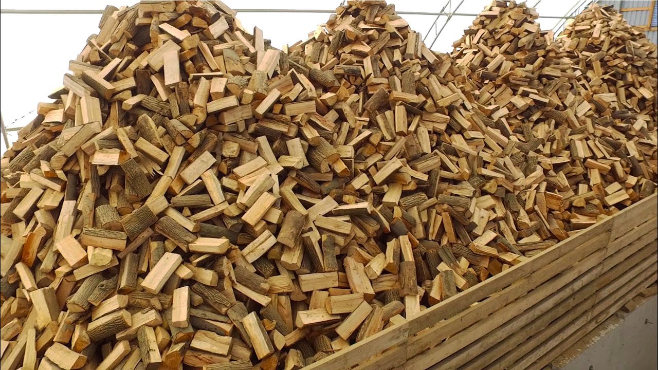 The Firewood Processing Factory / Firewood Production Line / Firewood Processor