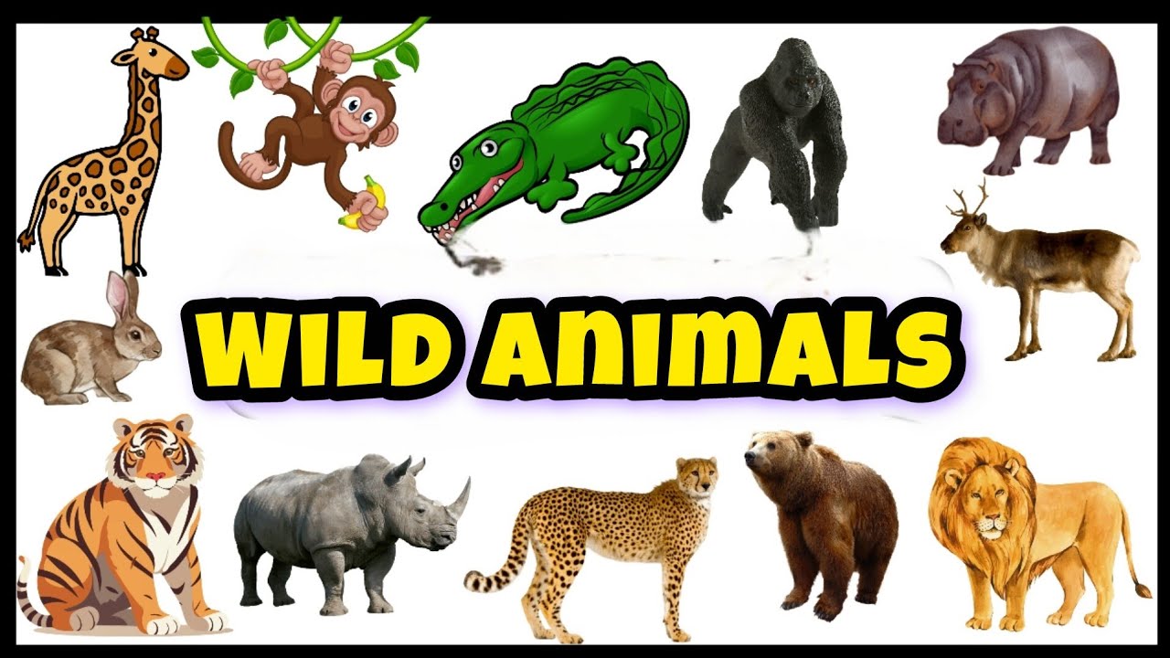 Wild Animals Names forkids/காட்டு விலங்குகள்/@PEEKABOO-ff8wq #wildanimalsforkids 