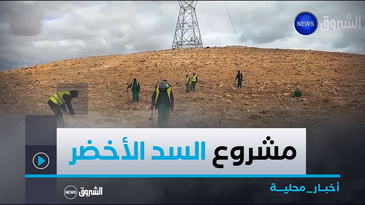 #الجلفة| إطلاق مشروع  تشجير مليون هكتار في إطار مساعي تجديد السد الأخضر