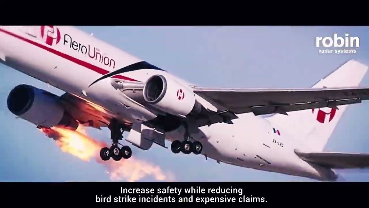 Reducing Bird Strikes & Drone Threats at Airports and Military Air Bases