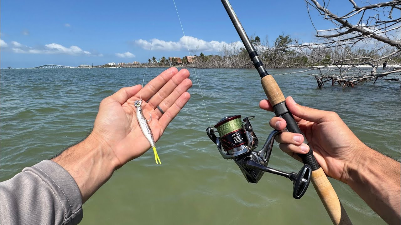 My first day of wade fishing (New PB!)