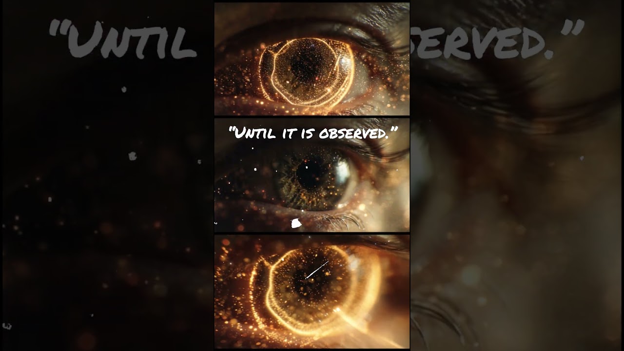 Quantum World/  The Indeterminacy 