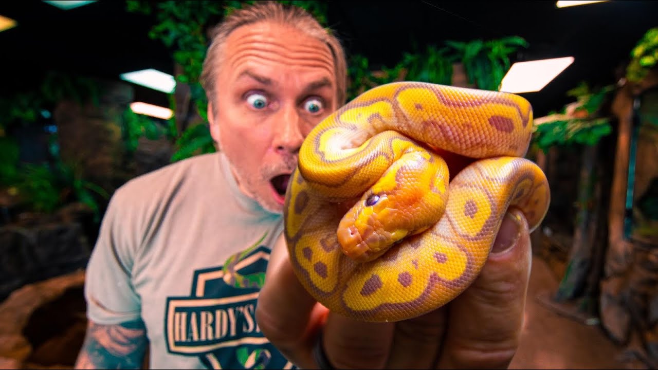 WORLDS FIRST SNAKE HATCHED!! INSANE!! | BRIAN BARCZYK