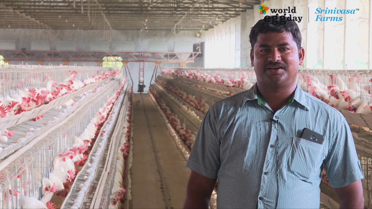 Srinivasa Farms - Layer Farmers- World Egg Day 2018