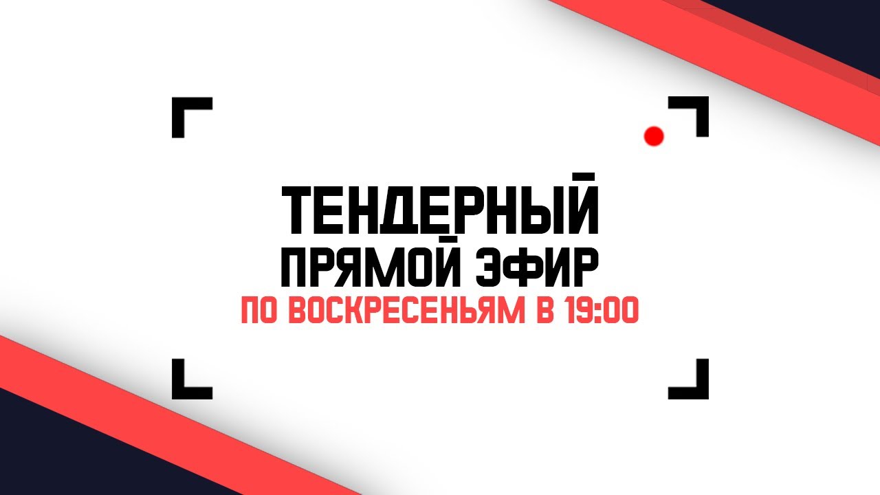 🔴 РАЗБОР ТЕНДЕРОВ В ПРЯМОМ ЭФИРЕ. Тендеры на грузоперевозки, строительство, товарный бизнес.