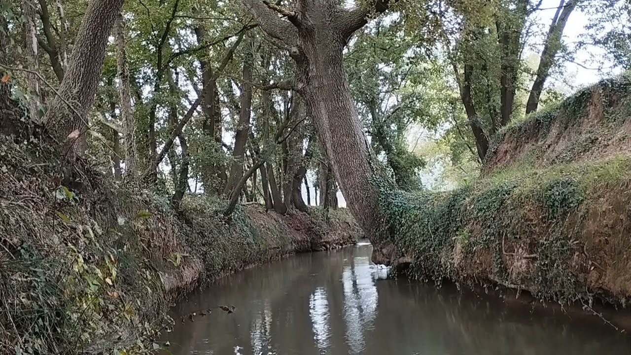 Riu.