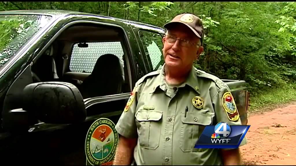 DNR: Upstate has wild hog problem