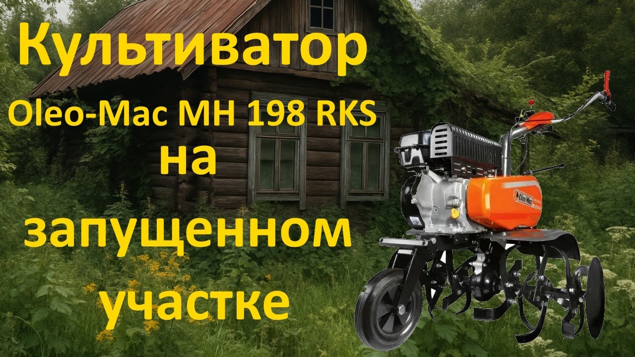 Заросший участок против Oleo-Mac MH 198 RKS — кто победит?