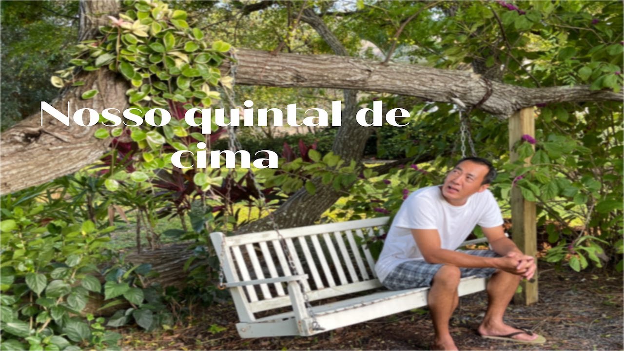Casa organizadinha na quinta chuvosa