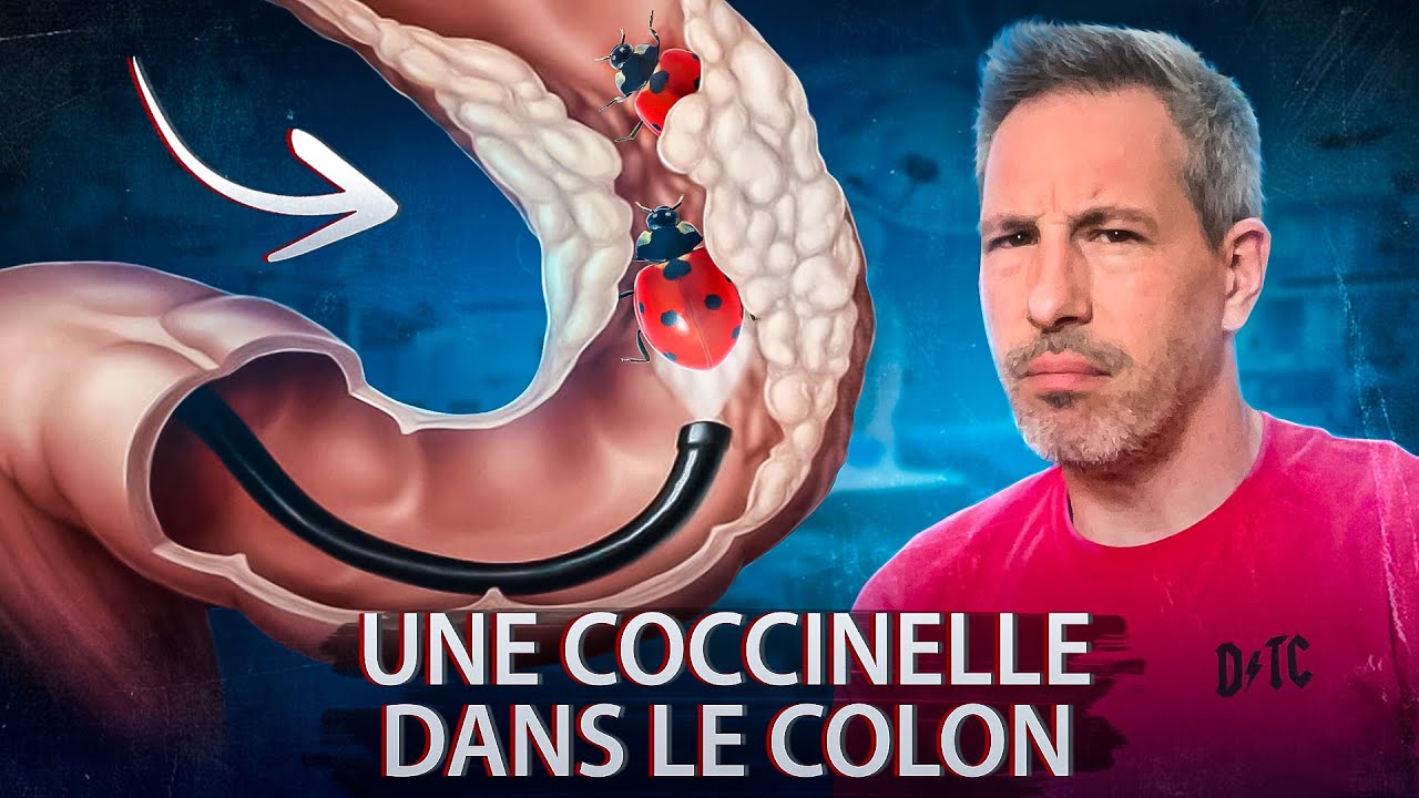 DES ANIMAUX DANS LE CORPS HUMAIN