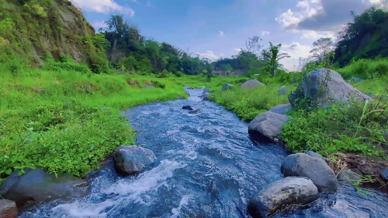 Sleep Soundly with Calming River Sounds & Views of Flowing Water Over Rocks in a Peaceful Forest
