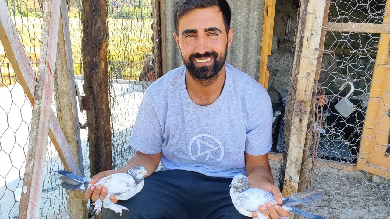 VAN KUŞU FESTİVALİNDE BİR İLK 4 TANE ATILDI