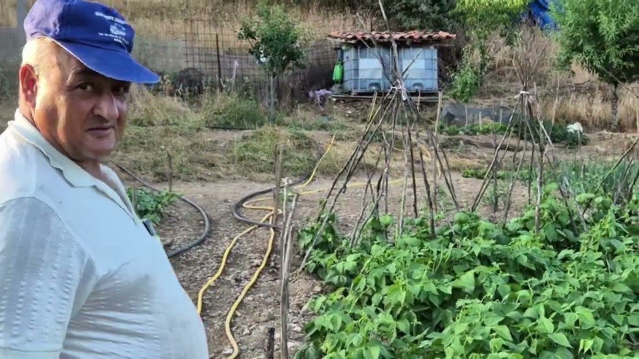 LA HUERTA DE ABELARDO