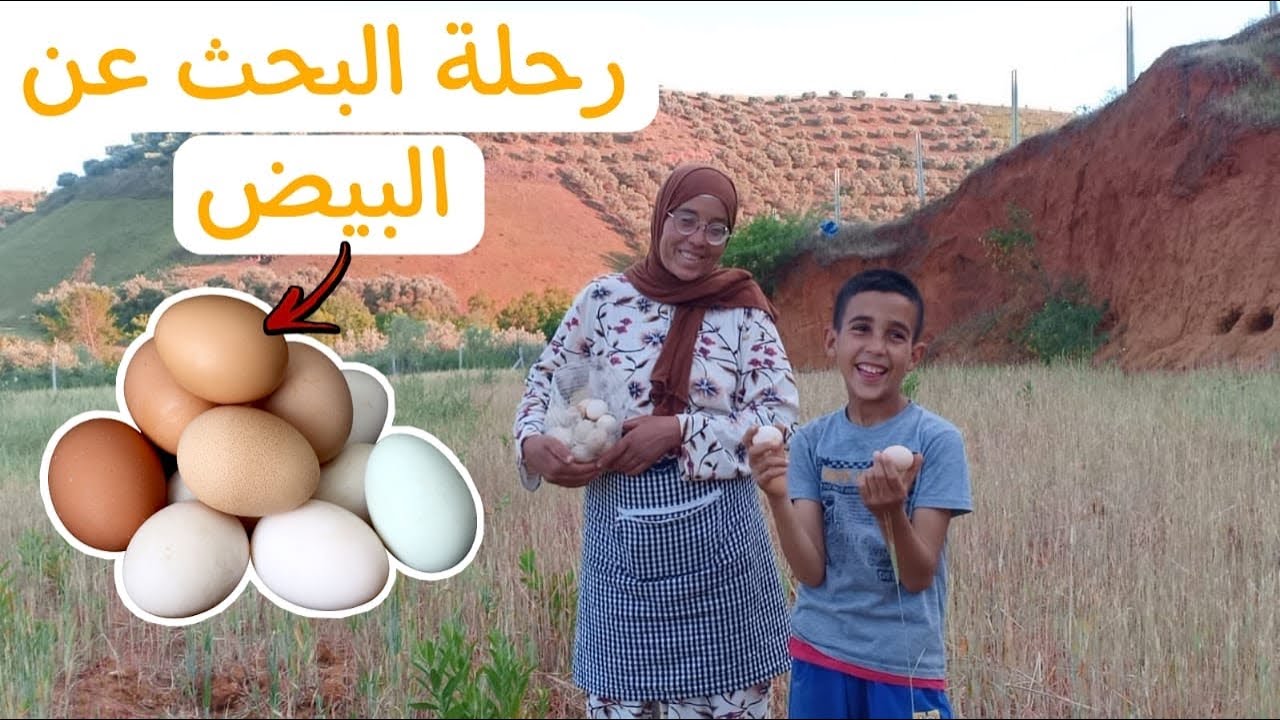 رحلة البحت عن البيض 🥚فين وصل الدجاج ديال الواد بدا كايبيض ولالا شنو كاياكل يوميا 🌿❤️