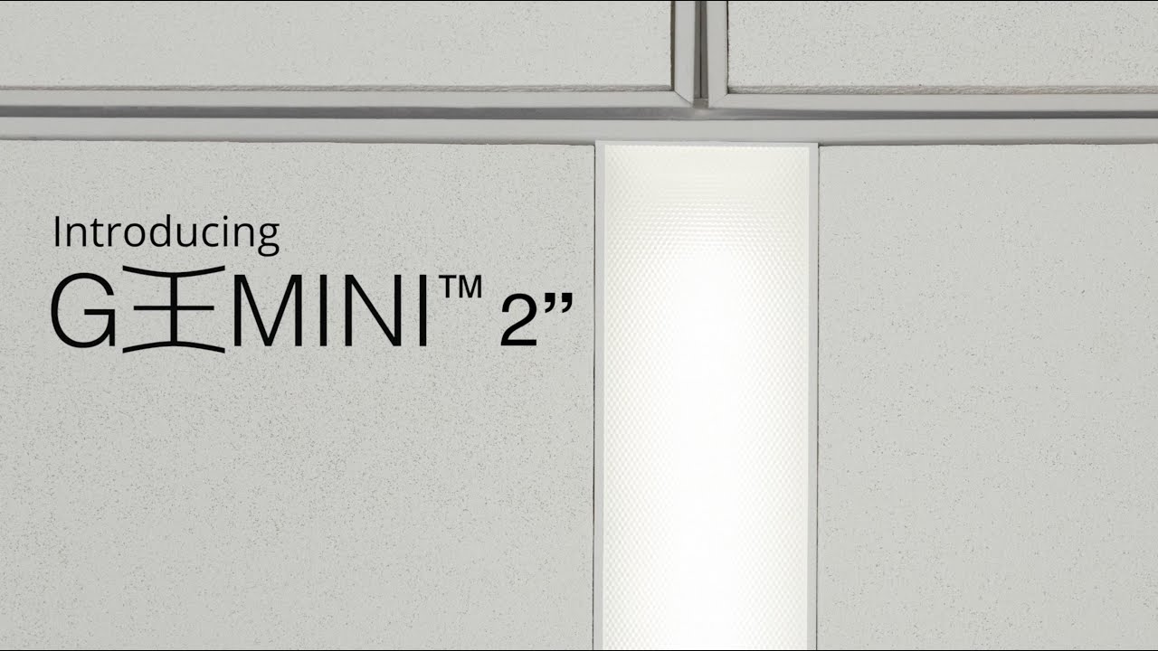 Introducing GEMINI™ 2"