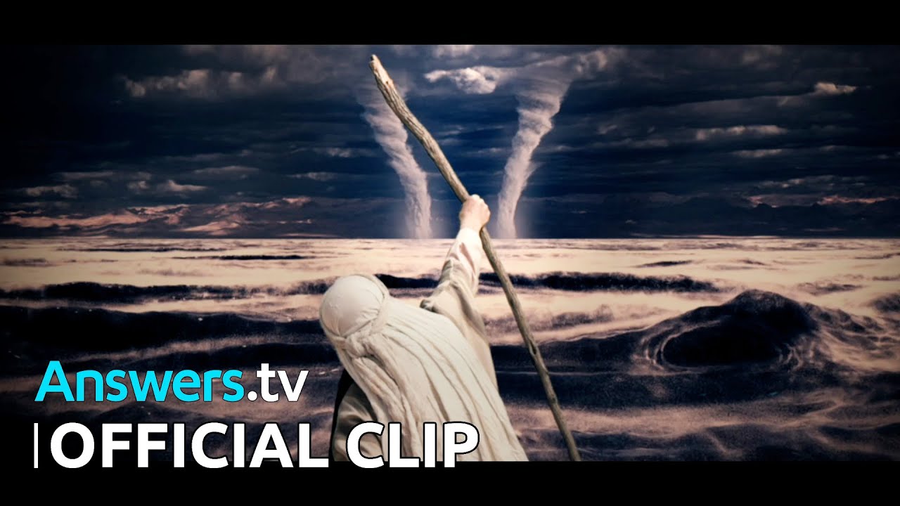 Чудо Красного моря. Часть 1 / Официальный клип