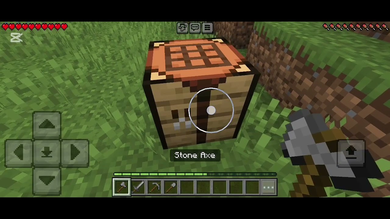 Playing minecraft with mods