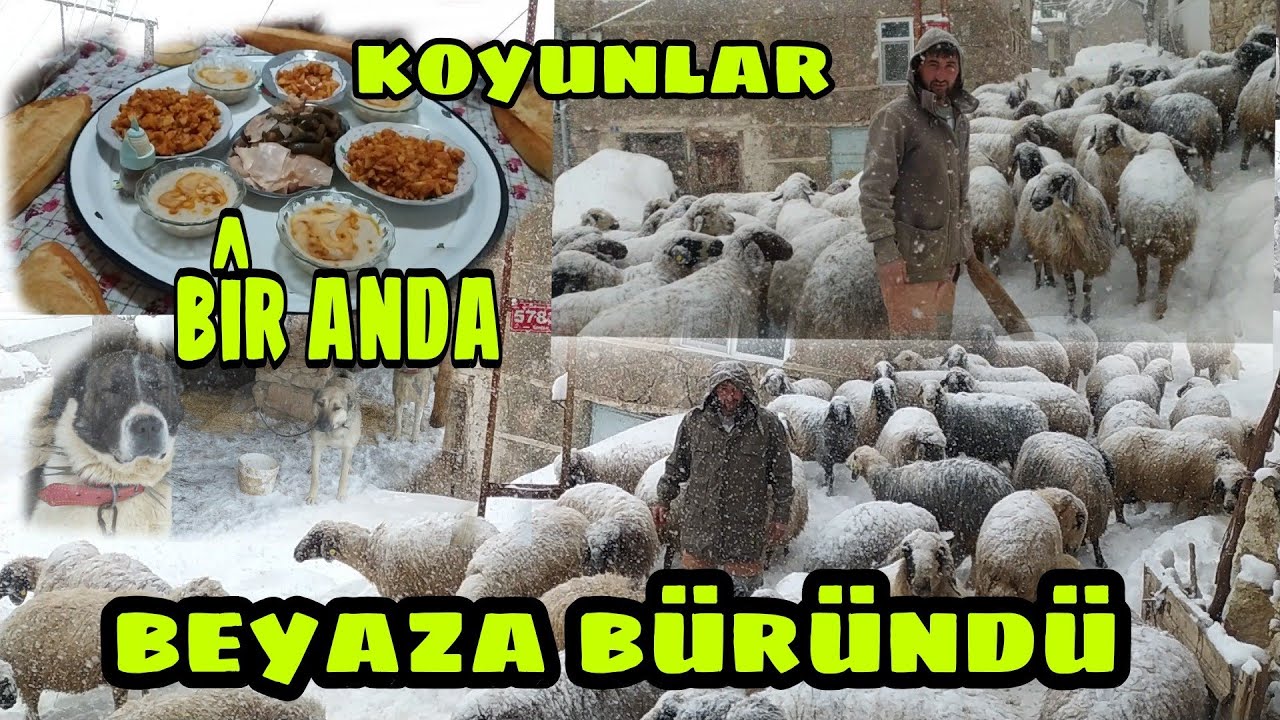 ZORLU~ KIŞ~ KARLI~ KÖY~ HAYATI~ BELGESEL~ TADINDA